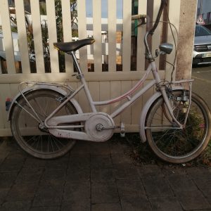 Mini vélo, Ados et adulte